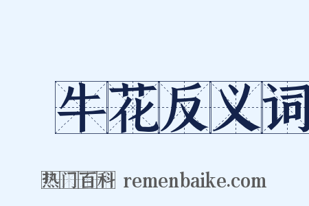 牽牛花反义词是什么意思的图片